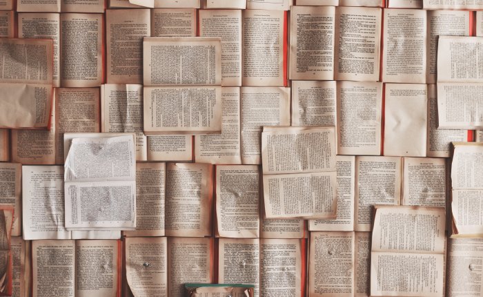 „Anul Cărții” nu&nbsp;există