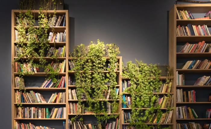 „Românii nu citesc, sîntem ultimii din Europa”. Episodul 2: Citește, popor, că ți-am dat legi!…