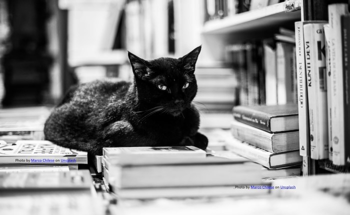 „Românii nu citesc, sîntem ultimii din Europa”. Episodul 4: Între timp, Italia, sora noastră de gintă latină…